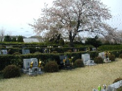 市川市霊園一般芝生墓地