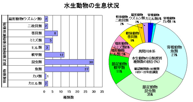水生動物の生息状況