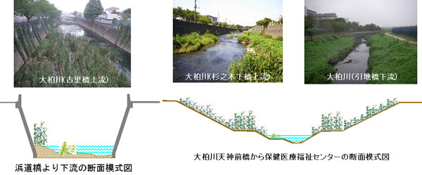 大柏川の写真と断面模式図