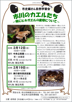 チラシ