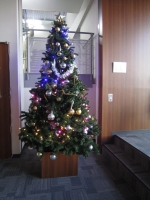 クリスマスツリー