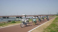 写真：江戸川サイクリングロード