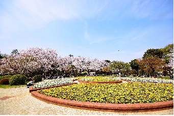 写真：里見公園