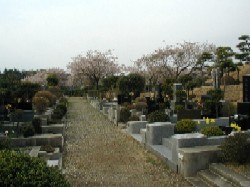 市川市霊園一般普通墓地