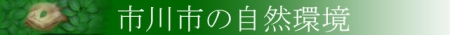 市川市の自然環境・生物多様性に関する政策