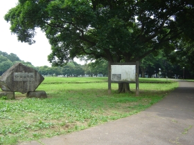 姥山貝塚公園