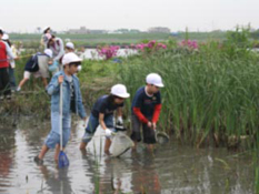 平成14年度完成　生き物いっぱいのビオトープ