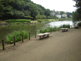 じゅん菜池緑地