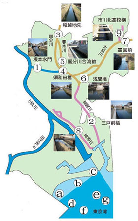 河川　海域調査地点図