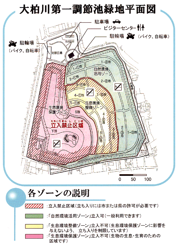 大柏川第一調節池緑地 市川市公式webサイト