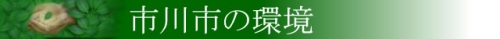 市川の環境