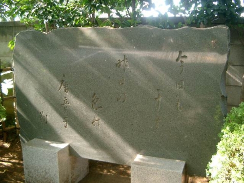 今日も干す昨日の色の 唐辛子 林 翔
