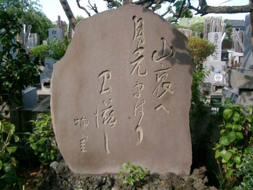 山裏へ月光回り 月滋し 矢田挿雲