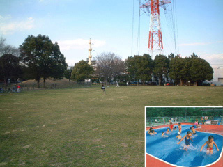 少年野球場とミニプール