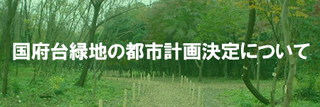タイトル：国府台緑地の都市計画決定について