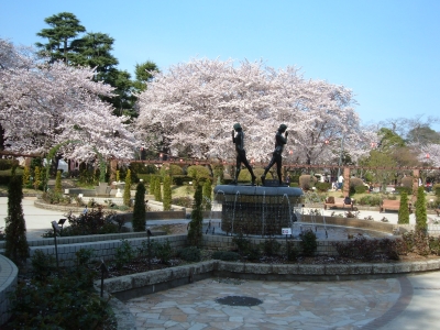 写真：春の里見公園