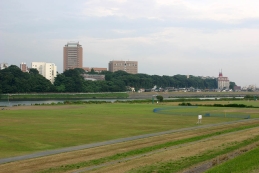 江戸川河川敷（クリックすると江戸川沿川の紹介ページにリンクします）