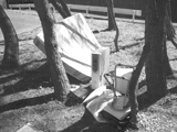 不法投棄は犯罪です!