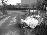 不法投棄は犯罪です!