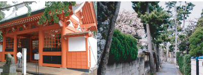イメージ画像(随神門・黒松)