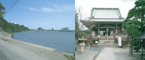 イメージ画像1(江戸川・手児奈霊堂)