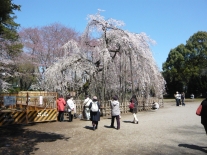 文学散歩の様子