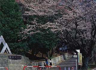 須和田遺跡の写真