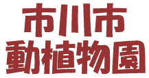 市川市動植物園