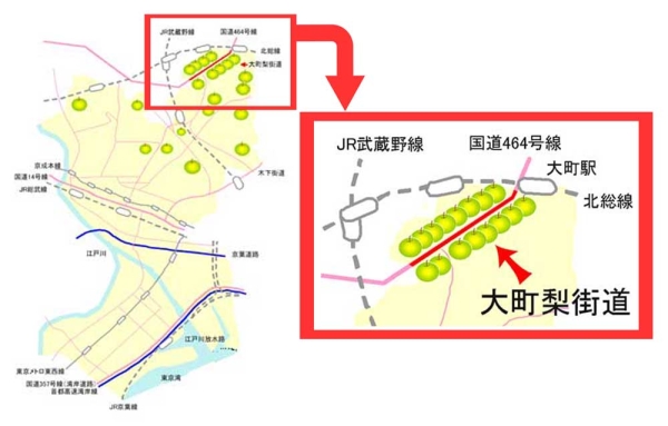 市川市の地図：大町駅近くの国道464号線をクローズアップしている。その場所に多くの梨園が存在し、その付近の国道464号線を大町梨街道と呼ぶ。その他市川市の北部に複数の梨園が点在している。