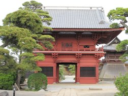 徳願寺山門の写真