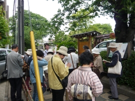 初夏の文学散歩の様子