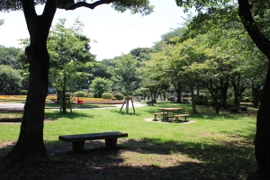 写真：里見公園