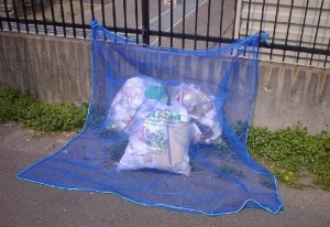カラスネット写真