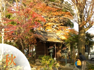 いちかわの四季　秋　イメージ画