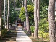 諏訪神社　（2002.05.20）