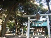 おりひめ神社　（2009.01.14）