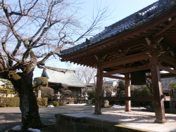 法蓮寺