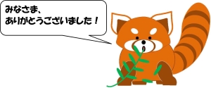 レッサーパンダのイラスト