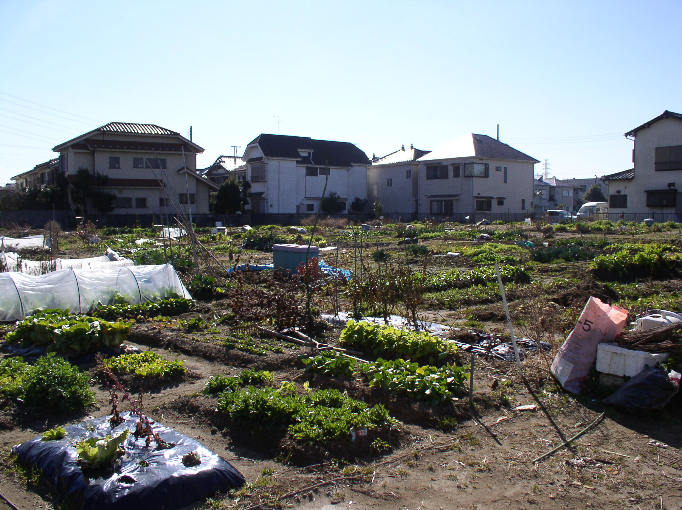 市民農園