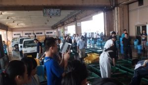 銚子漁港魚市場のせりを見学
