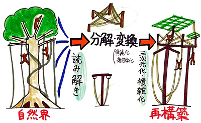 自然界→読み解き　分解・変換（単純化・幾何学科）→三次元化・複雑化 再構築を現したイラスト