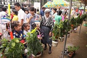 写真　ほおずき市