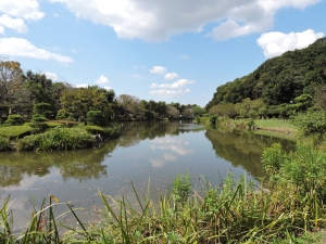 写真：じゅん菜池