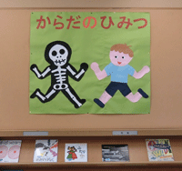 からだのひみつ展示写真