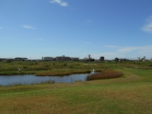 大柏川調節地