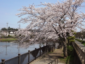 こざと公園