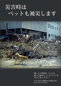 写真：災害時のペット被災状況