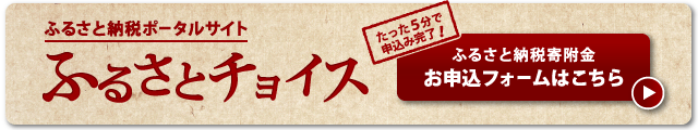 ふるさと納税ポータルサイト　ふるさとチョイス　たった5分で申込み完了！ふるさと納税寄付金お申込フォームはこちら