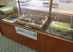 ガラスケース展示 田島征三さんの作品