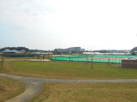 公園の写真
